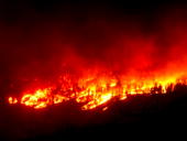 Canada wildfires burn area the size of Croatia