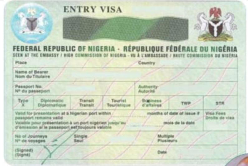 E-visa without tears; NIS approval within 16 to 48 hours