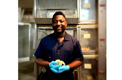 My research provides alternatives that promote animal health, reduce antibiotic dependency – Olumide Olowe