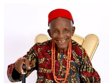 Ywom traditional council extols legacy of Chief Ilobanafor