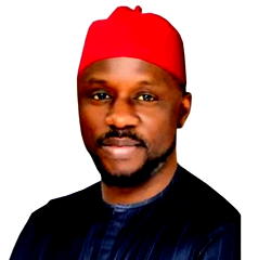 Ex-presidential aspirant Faduri faults Tinubu’s pardon for serious offenders