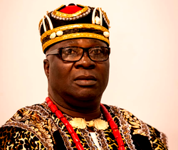 Southeast monarchs charge Igbo group in diaspora to install leaders in their zones