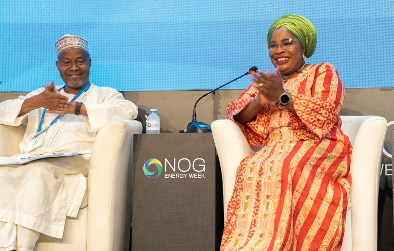 NSE President stresses professional role in future of energy