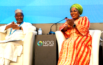 NSE President stresses professional role in future of energy