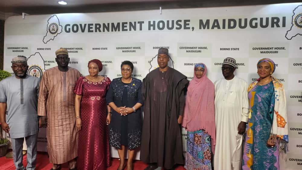 Borno moves to digitise civil service with FG’s Service-Wise GPT
