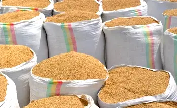 Rice farmers lament crippling local production