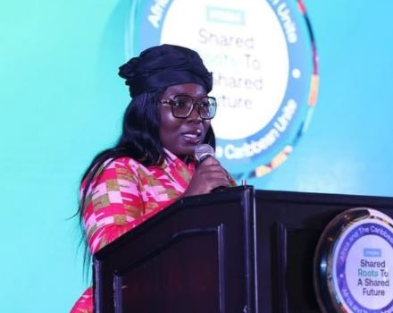 How we re reconnecting Africa, Caribbean through Culture and Trade – Agboola