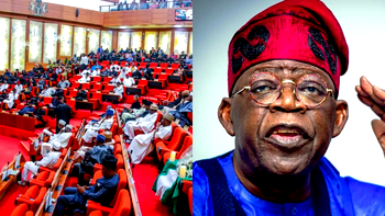 North Central Youths commend Senate, Tinubu over NCDC leadership appointment