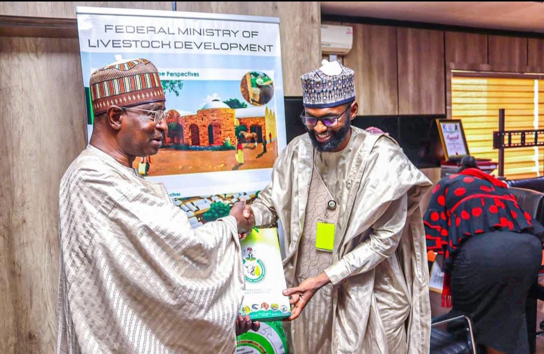 Tinubu’s Agenda: NAIC boss backs livestock devt