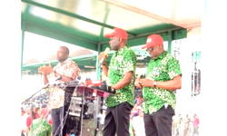 House of Reps appeals to nurses, midwives to end strike action
