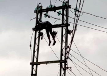 Suspected cable vandal electrocuted in Calabar