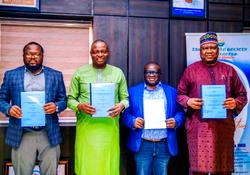 Employability: DBI, Ministry, SBTS align to boost NPower digital job training