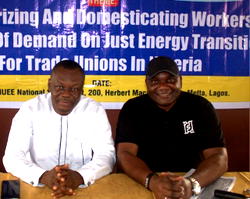 Electricity workers decry exclusion from FG just energy transition plans