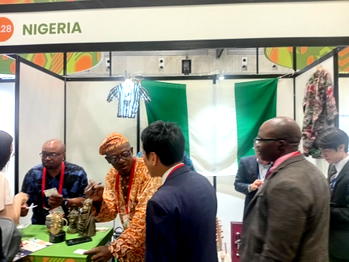 Nigeria reaffirms commitment to strategic partnerships at TICAD 9