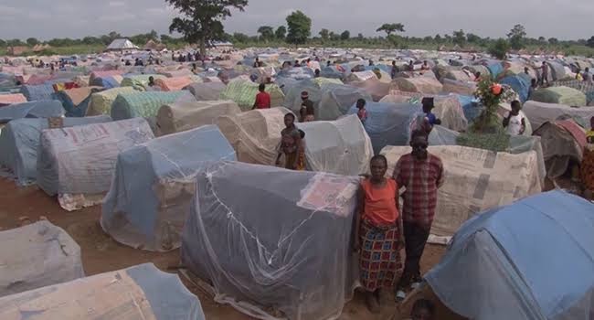 12 Benue IDPs suffer snake bite, 14-year-old victim cries for help