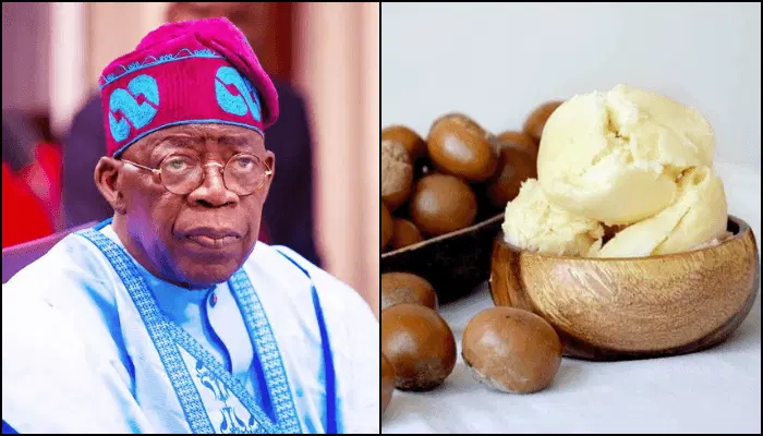 Suspension of raw shea nuts exports, a win for women, farmers  –  Tinubu