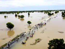 Flood, windstorm destroy farmlands, shops in Ebonyi communities