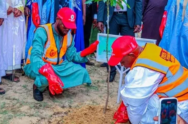 Kano Gov inaugurates tree planting campaign, distributes 5m seedlings