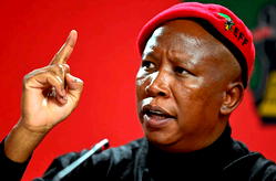 Malema condemns xenophobia, calls for economic collaboration between Nigeria, South Africa