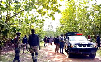 Forest security, mineral resources and food security