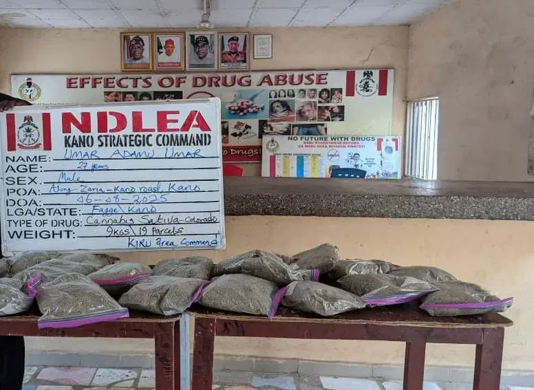 NDLEA intercepts cannabis in Kano