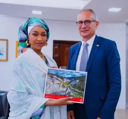 Nigeria, Switzerland meet on repatriation of artifacts, cultural cooperation