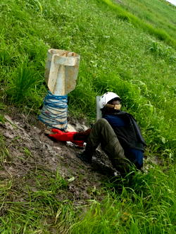 Police recover, defuse unexploded IED in Borno farmland