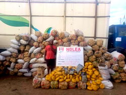 NDLEA secures 10-year jail terms for drug kingpins Emami, Akpomuai