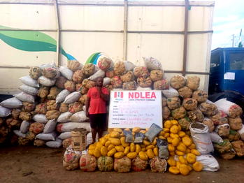 NDLEA secures 10-year jail terms for drug kingpins Emami, Akpomuai
