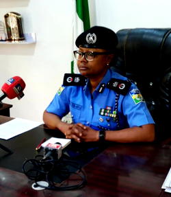 Ebonyi Police nab 131 suspects in one month, recover vehicles, firearms