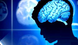 Breakthrough discovery offers hope for reversing brain ageing