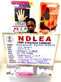 NDLEA foils widow’s cocaine smuggling plot with fake pregnancy