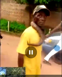 Man beaten for allegedly killing snake in Anambra