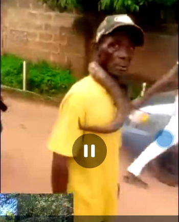 Man beaten for allegedly killing snake in Anambra