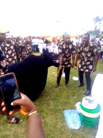 Nwafor Ogidi Cultural Fiesta: Council boss to train 40 youths on skills, empower them with ₦500,000 each