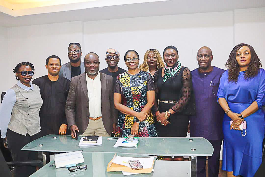Healthcare: Govt, private sector, CSOs urged to drive tech-based emergency response 