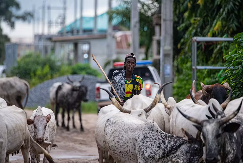 open grazing conflicts