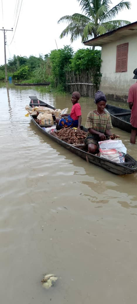 Residents cry out as flood ravages Anambra’s Ogbaru LGA