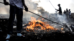 Spain busts criminal ring shipping hazardous waste to Ghana