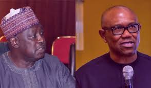 I don’t know if I’d support Peter Obi in 2027 — Babachir Lawal