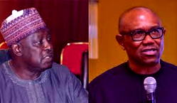 I don’t know if I’d support Peter Obi in 2027 — Babachir Lawal