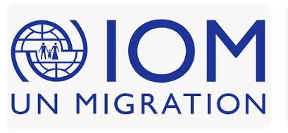 70,000 irregular migrants repatriated to Nigeria as of 2025 – IOM