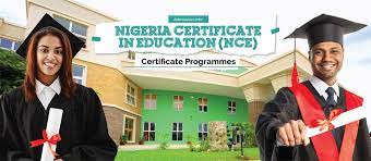 FG shuts 22 illegal Colleges of Education