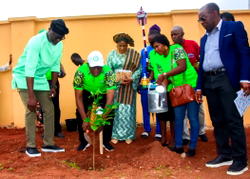 Ogun to plant 1 million trees in 2025
