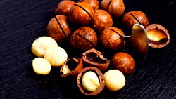 Shea export ban to boost local supply – NEXIM MD