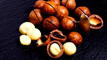 No going back on shea ban – FG