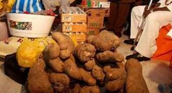High cost of traditional marriage rites destroying marriage institution in Igbo land, cleric warns