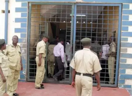 8,246 mentally ill inmates in custody nationwide – NCoS
