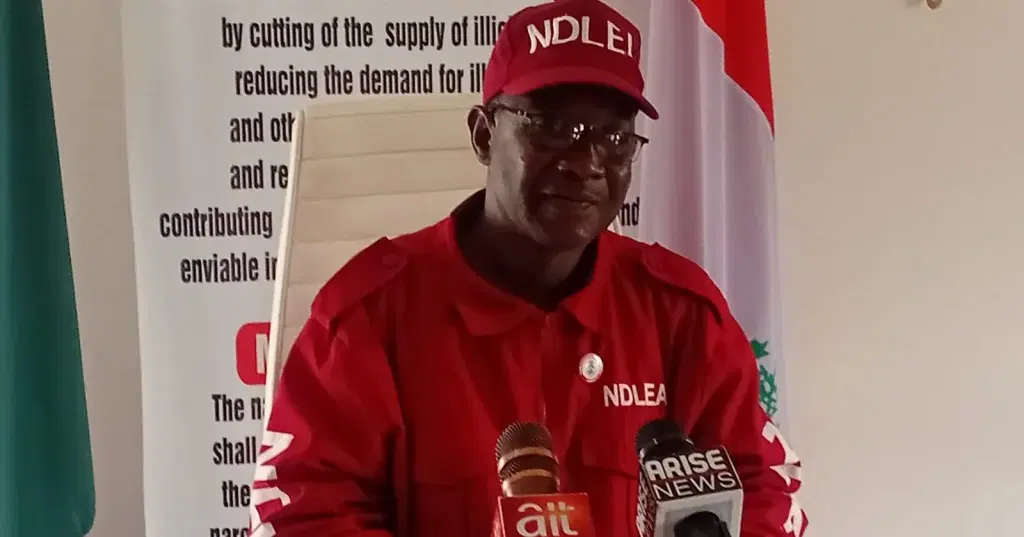 NDLEA destroys seven hectares of Cannabis in Kogi