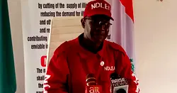 NDLEA destroys seven hectares of Cannabis in Kogi